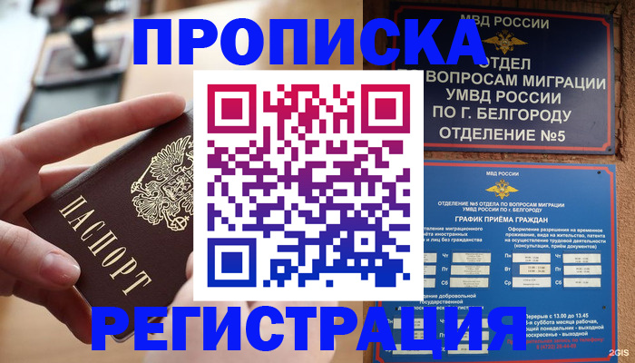 временная регистрация недорого в Новокуйбышевске